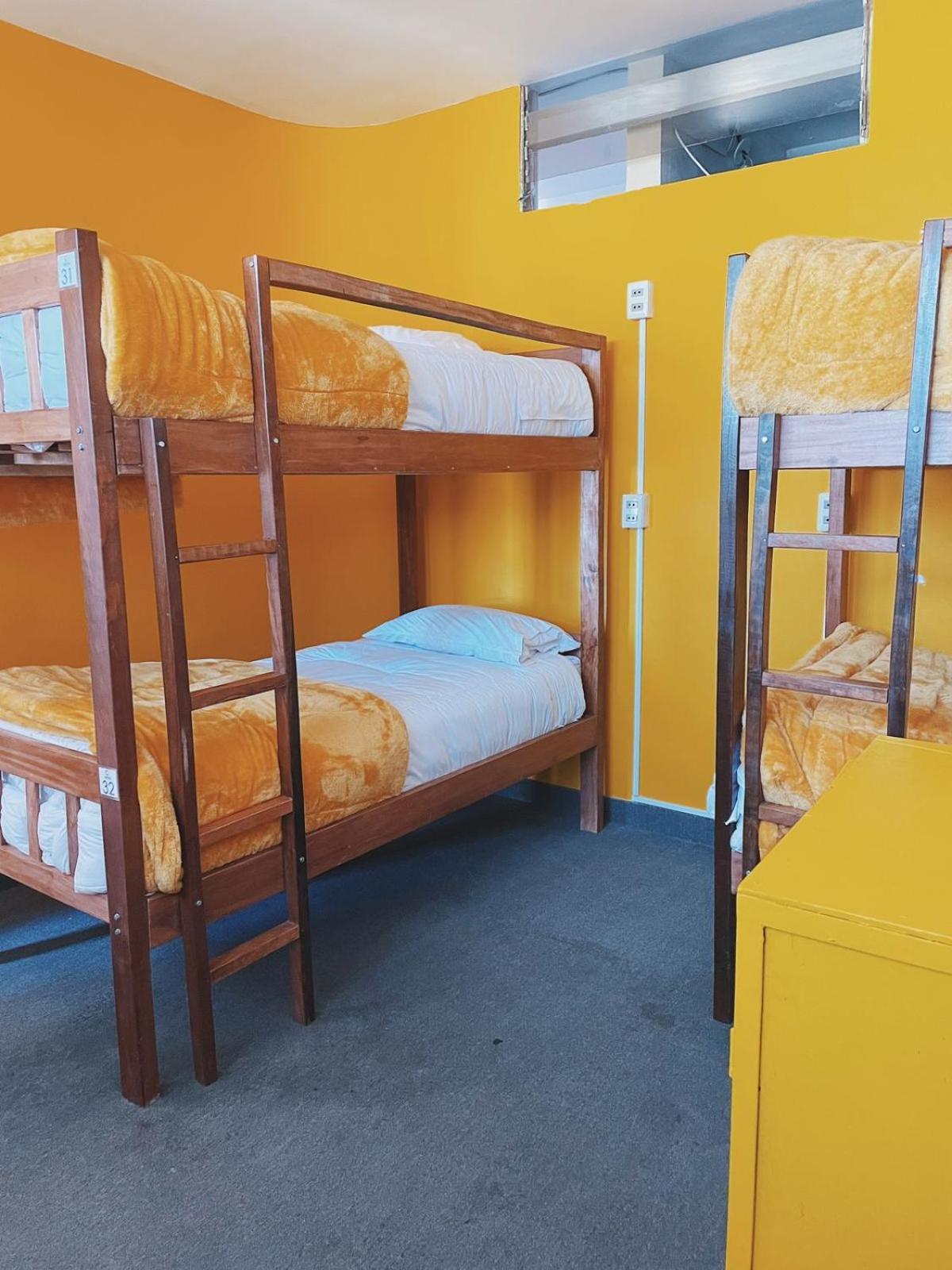 Lobo Hostel La Paz Bagian luar foto